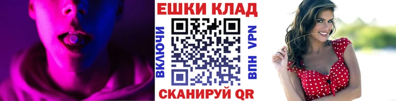 где найти   Новое Девяткино  Ecstasy бентли 