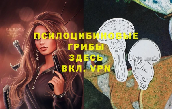 герыч Вяземский