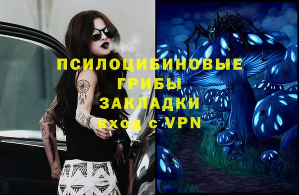 спиды Вязьма