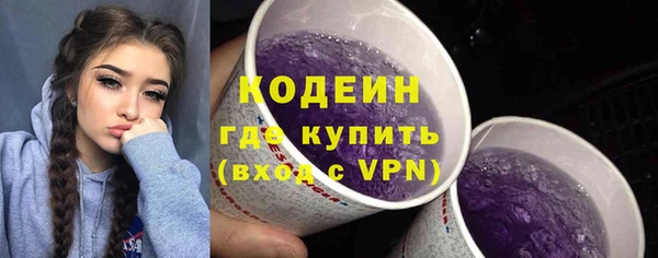 шишки Вязники