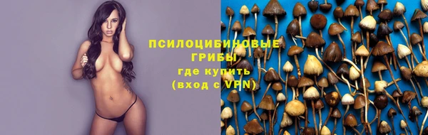 спиды Вязьма