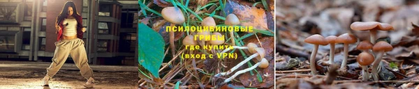 герыч Вяземский