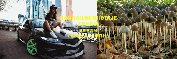 герыч Вяземский