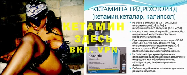 шишки Вязники