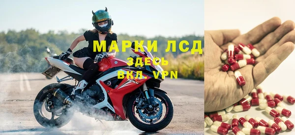 спиды Вязьма