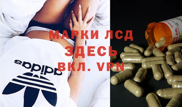 шишки Вязники