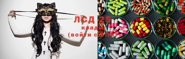 шишки Вязники