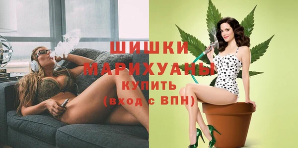 шишки Вязники