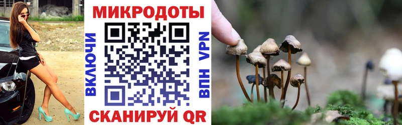 Псилоцибиновые грибы мухоморы  купить наркоту  Новое Девяткино 